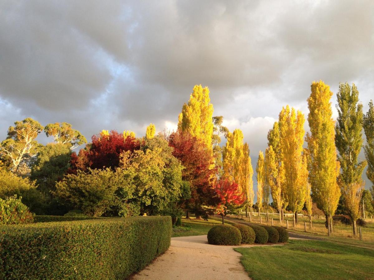 Glen Waverly Farmstay Glen Innes Exterior foto