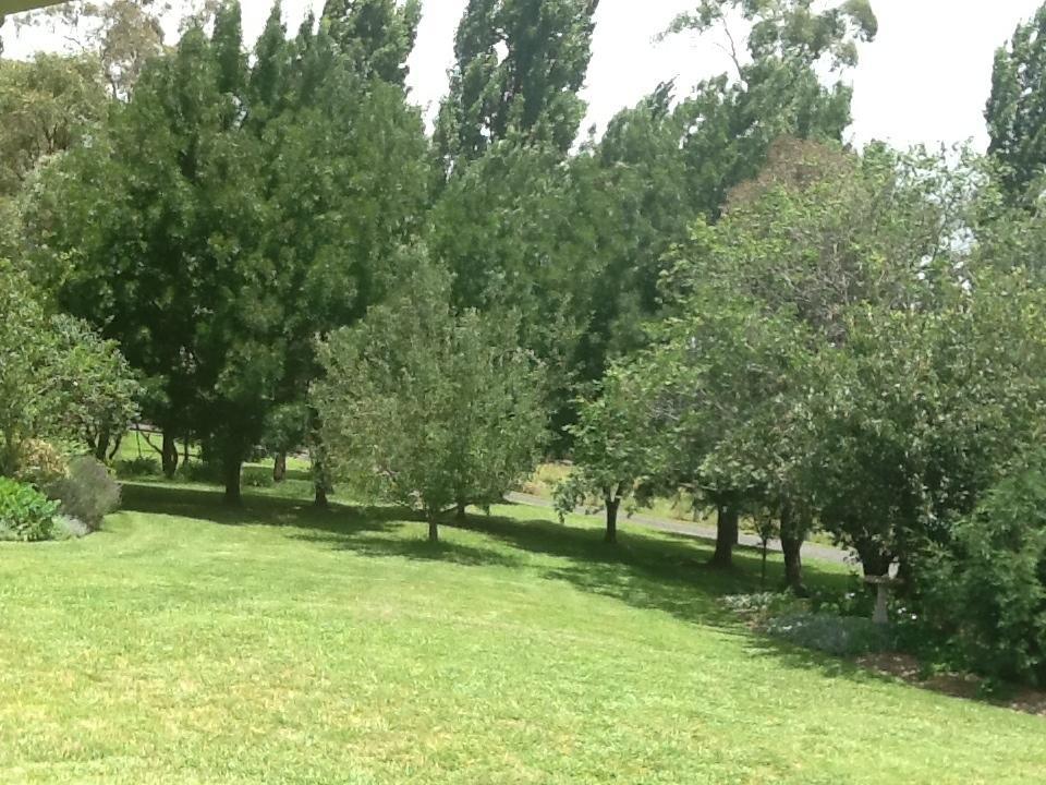 Glen Waverly Farmstay Glen Innes Habitación foto
