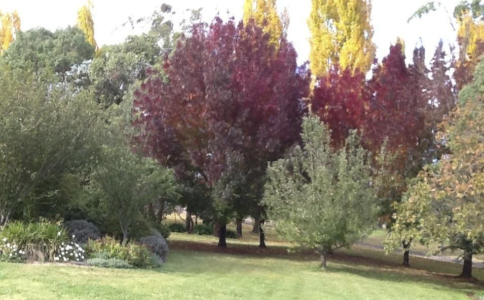Glen Waverly Farmstay Glen Innes Habitación foto